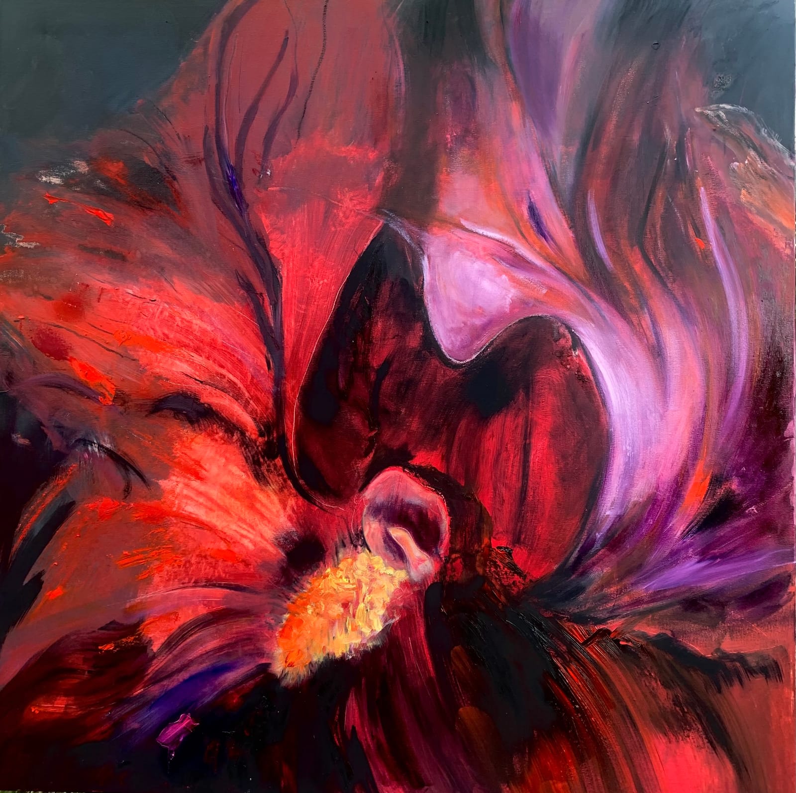 Iris 1 — Catherine Delcan