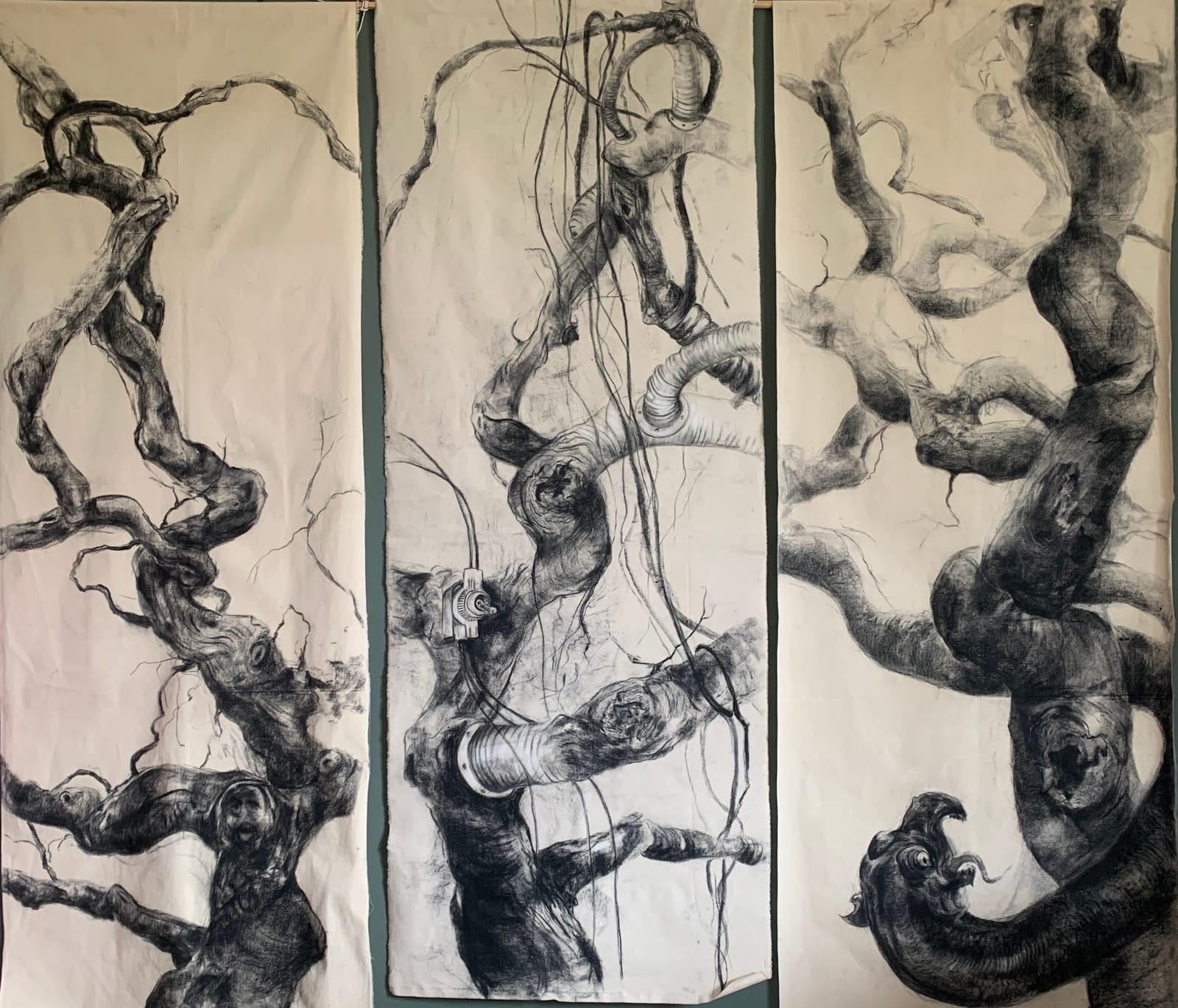Métamorphoses — Catherine Delcan