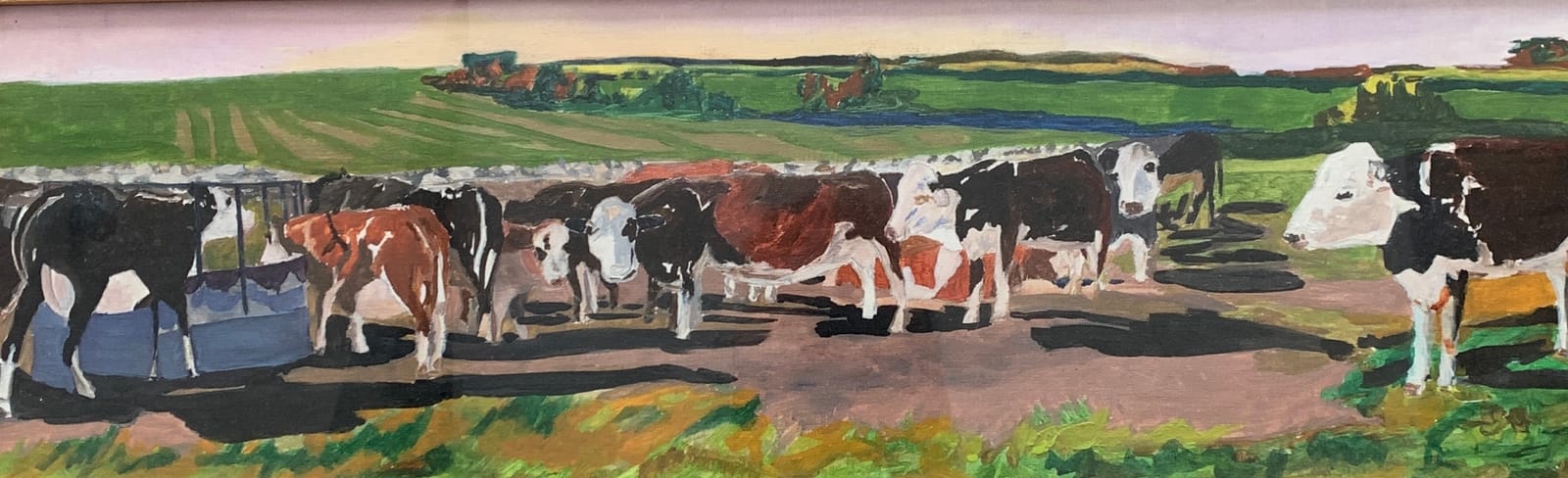 Vaches Devon — Dominique Chevrel
