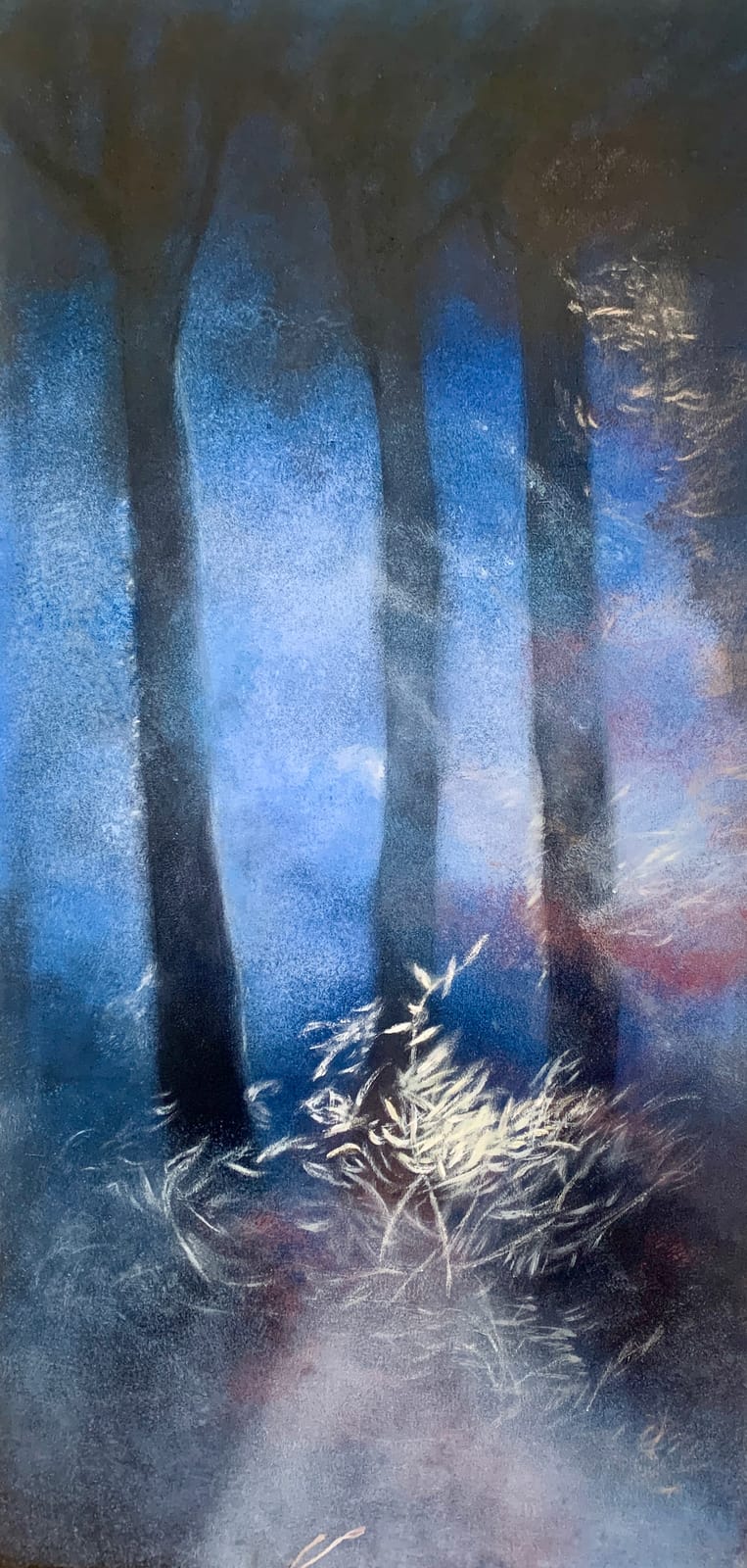 Nocturne — Lydia Léas